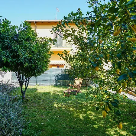 Amazing In With Wifi